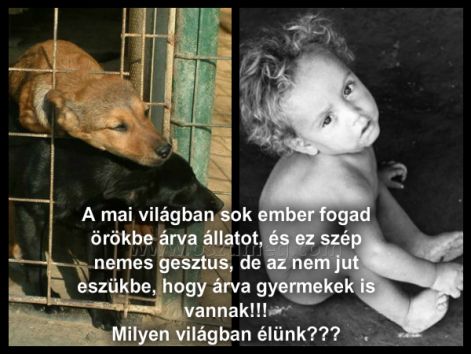 1349338335.1043-pizap.com13493373752181-f.jpg